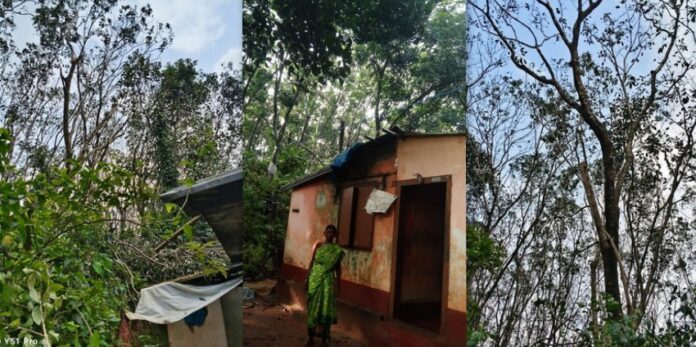 Ramakunja Sharada Nagara Kamala house dangerous tree electricity wire issue resolved Raghava Kalara
